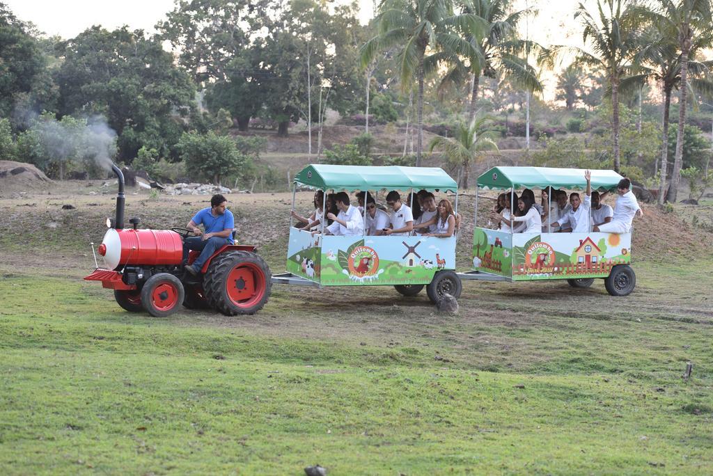 Quilombo Hotel Fazenda อูนิเอา โดส ปัลมาเรซ ภายนอก รูปภาพ